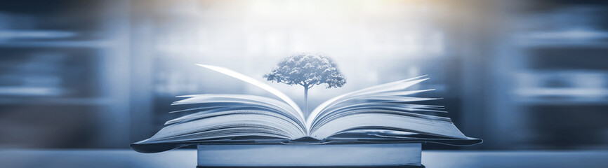 身份证丢了可不可以网上补办