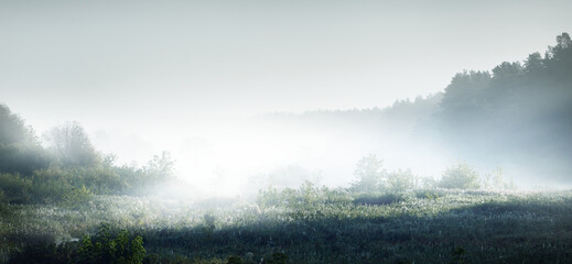 杨振宁教授的生日是哪一天-