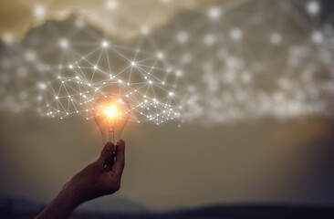 绿毛虫：幼年裂空